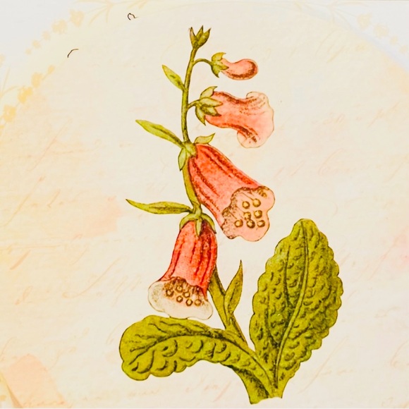 Fairyloot Exclusive Farewell My Love Botanic Coasters - Picture 1 of 10